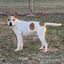 Thumbnail photo of CREED #1