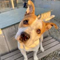 Thumbnail photo of CREED #2