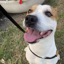 Thumbnail photo of CREED #3