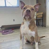 Thumbnail photo of Channing #3