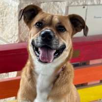 Thumbnail photo of Scobey #1