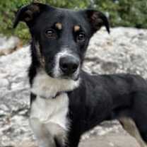 Thumbnail photo of Yara #2