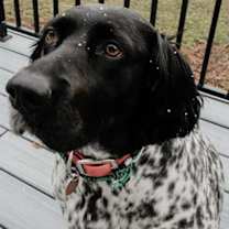 Thumbnail photo of Luna #1