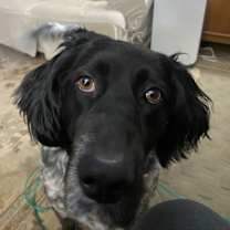 Thumbnail photo of Luna #2