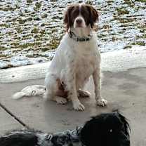 Thumbnail photo of Luna #3