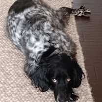 Thumbnail photo of Luna #4