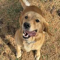 Thumbnail photo of Sunshine #1