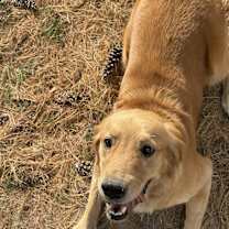 Thumbnail photo of Sunshine #2