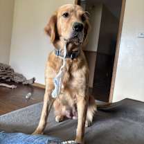 Thumbnail photo of Sunshine #4