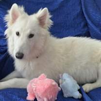 Thumbnail photo of Emma Amore #2