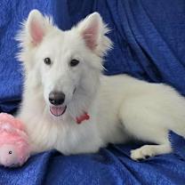 Thumbnail photo of Emma Amore #3