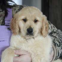 Thumbnail photo of Toast #1