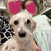 Thumbnail photo of Bennett #4