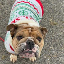 Thumbnail photo of Potato #1