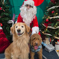 Thumbnail photo of Jingles #2