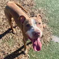 Thumbnail photo of MacGyver #4