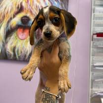 Thumbnail photo of Neat #1