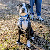 Thumbnail photo of Jamy #2