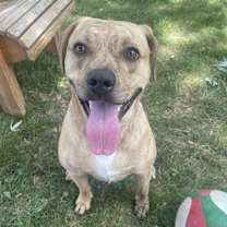 Thumbnail photo of Athena #1