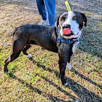 Thumbnail photo of Jamy #3