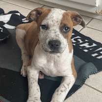 Thumbnail photo of Derrick #2