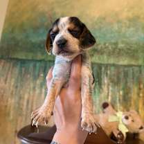 Thumbnail photo of Neat #3