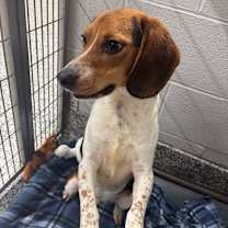 Thumbnail photo of Larry #2