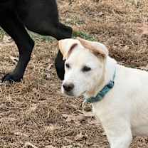 Thumbnail photo of Dan #2