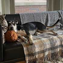 Thumbnail photo of Hazel #2