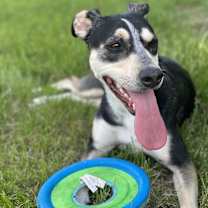 Thumbnail photo of Hazel #3