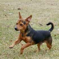 Thumbnail photo of Ricky #3