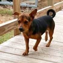 Thumbnail photo of Ricky #2