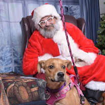 Thumbnail photo of Dreamy #1