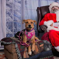 Thumbnail photo of Dreamy #2