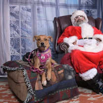 Thumbnail photo of Dreamy #4