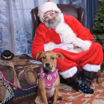 Thumbnail photo of Dreamy #3