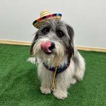 Thumbnail photo of Manny(Manuelito) #2