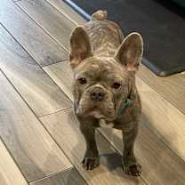 Thumbnail photo of Story #2