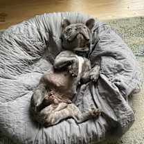 Thumbnail photo of Story #3