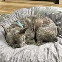 Thumbnail photo of Story #4