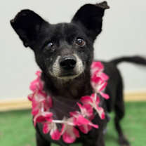 Thumbnail photo of Maverick #3