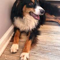 Thumbnail photo of Peanut #3