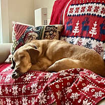 Thumbnail photo of Remington #2