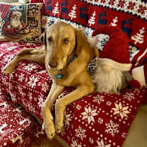 Thumbnail photo of Remington #3