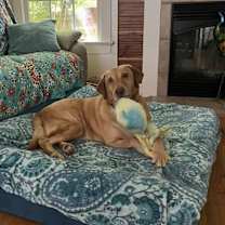 Thumbnail photo of Remington #4