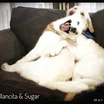 Thumbnail photo of Blancita #1