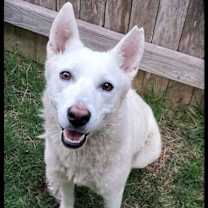 Thumbnail photo of Blancita #2