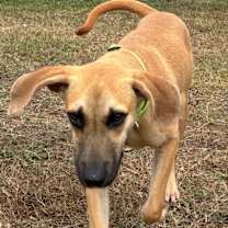 Thumbnail photo of Motley #1