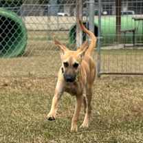 Thumbnail photo of Motley #2