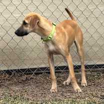 Thumbnail photo of Motley #3